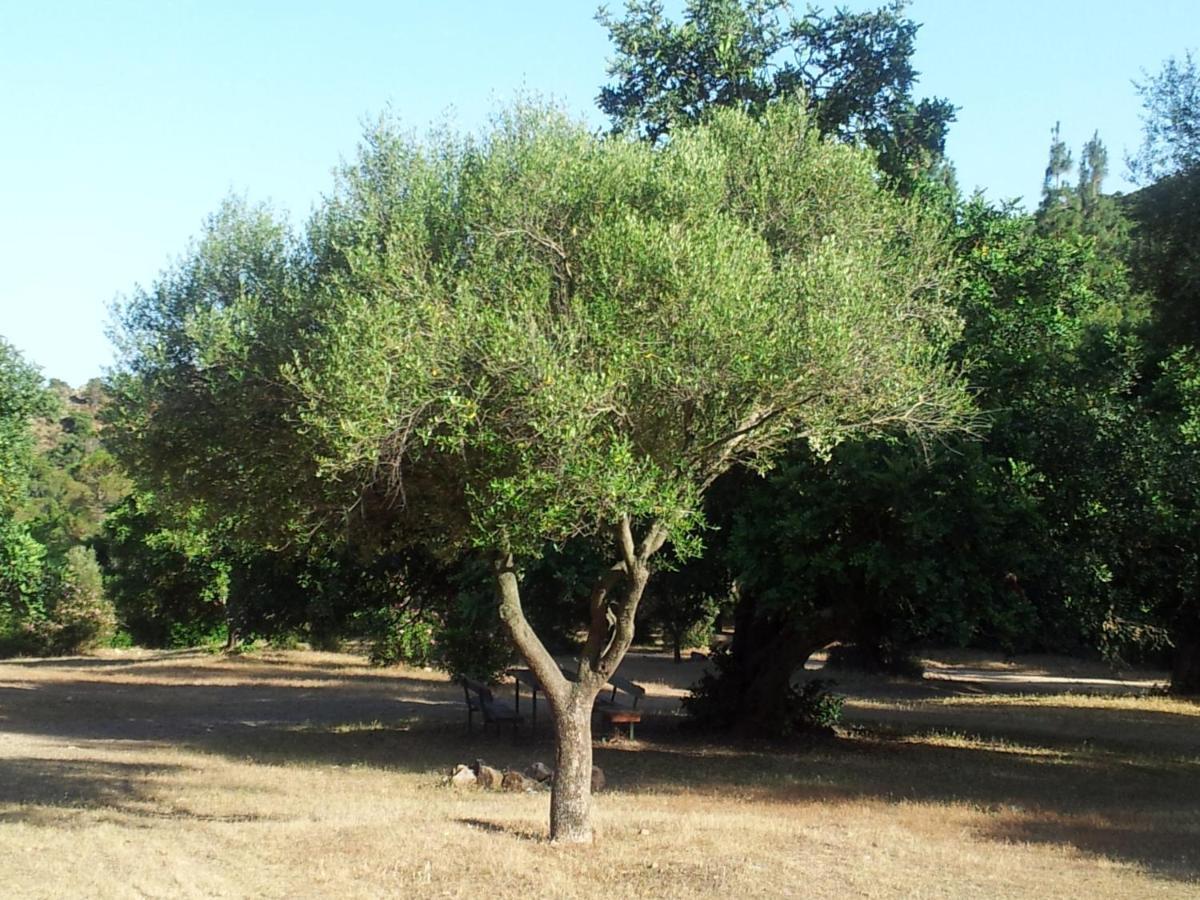Willa La Casa Di Sara Pula Zewnętrze zdjęcie