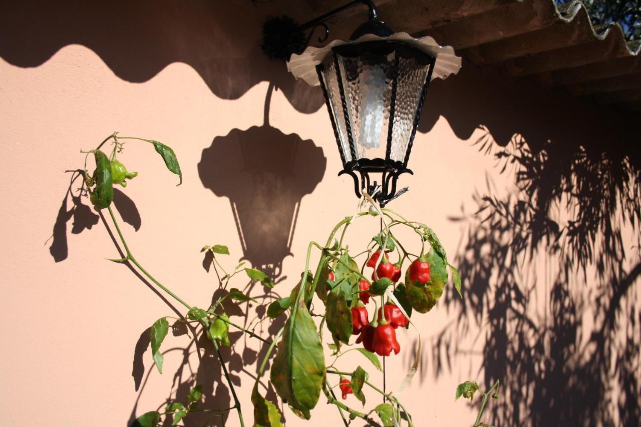 Willa La Casa Di Sara Pula Zewnętrze zdjęcie